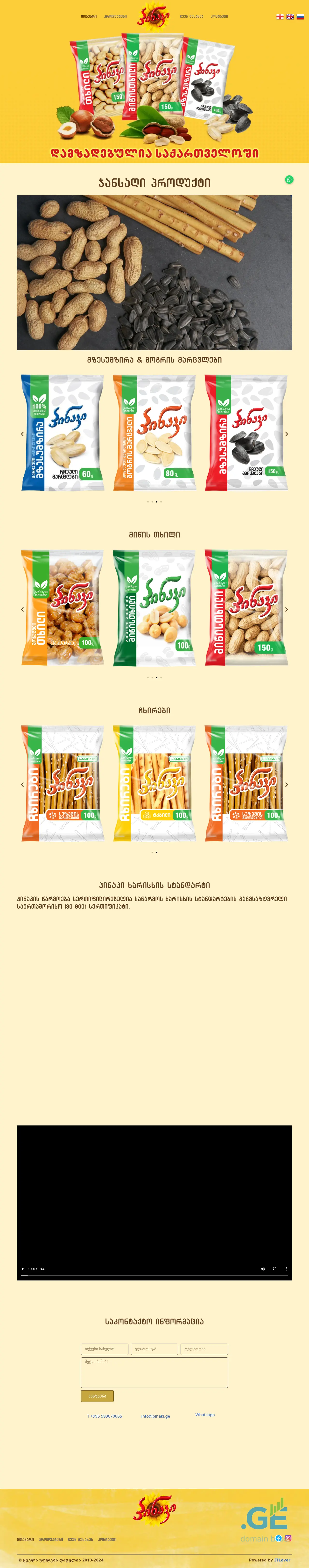 Screenshot of the site pinaki.ge
