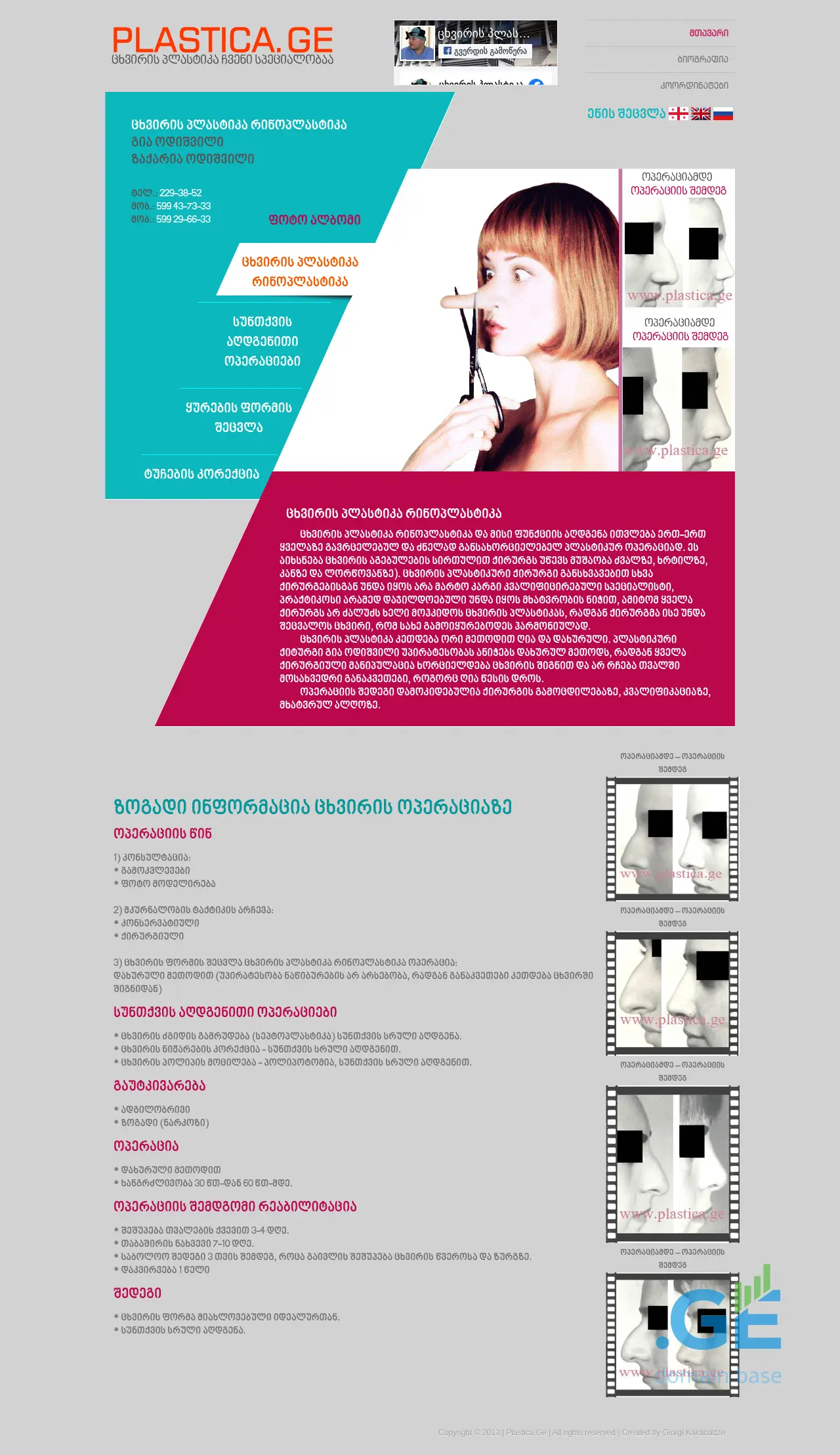 Screenshot of the site plastica.ge