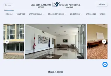 Screenshot of proficollege.ge