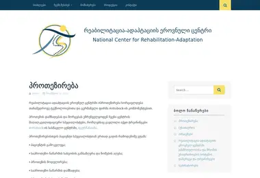 Screenshot of protezi.ge