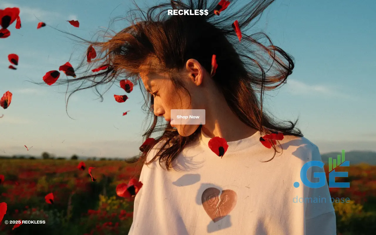 Screenshot of the site reckless.ge