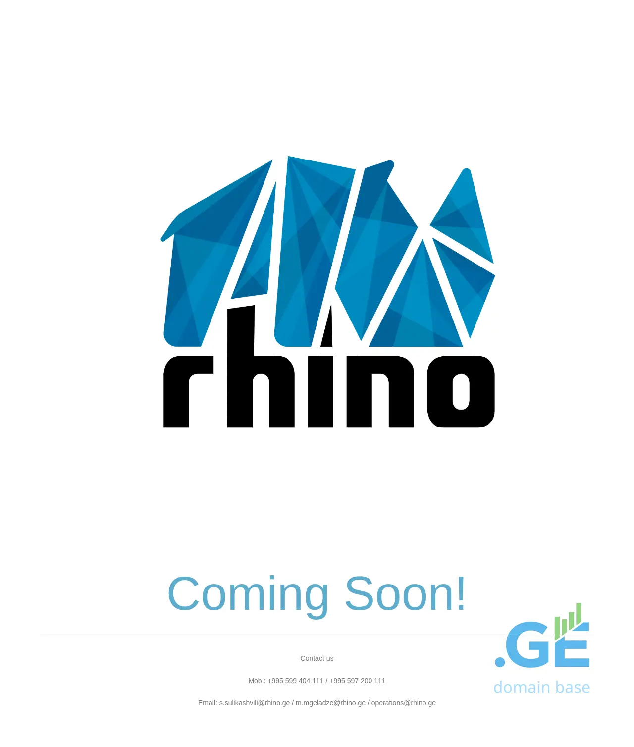 Screenshot of the site rhino.ge
