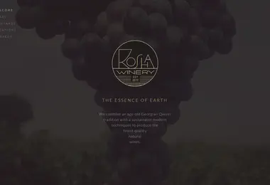 Screenshot of rosha.ge