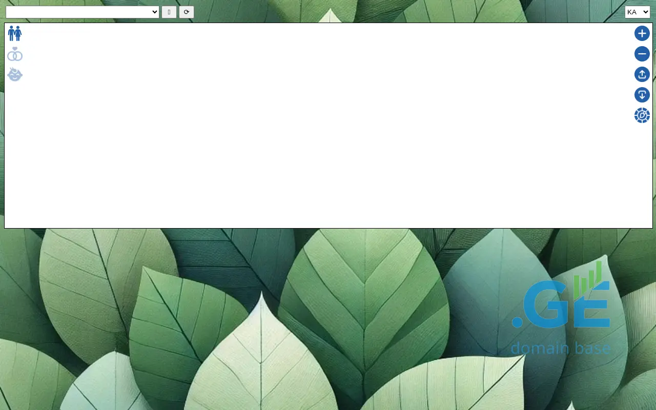 Screenshot of the site sagvareulo.ge