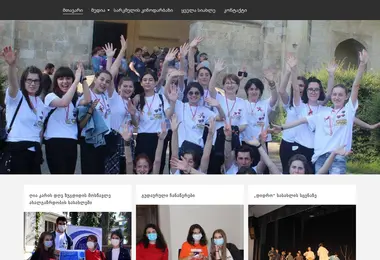 Screenshot of sarkmeli.ge