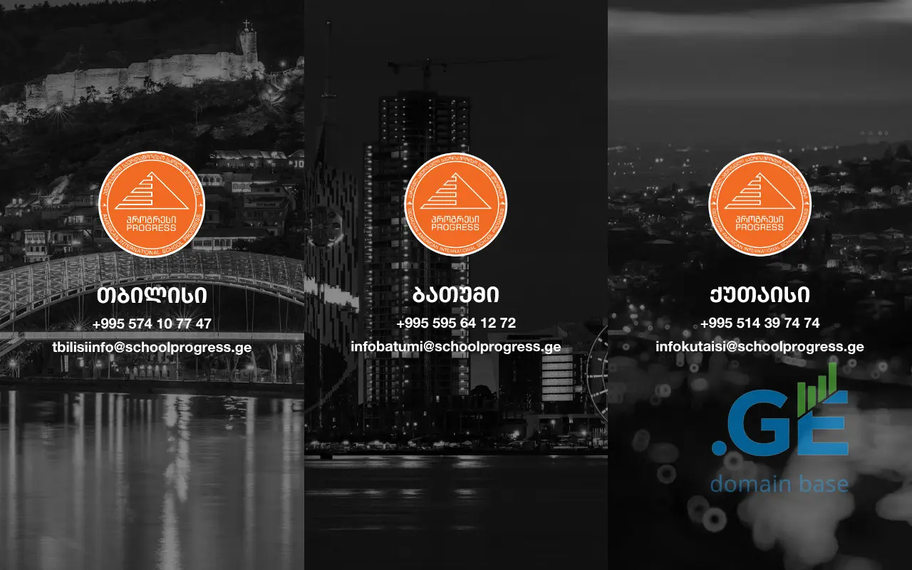 Screenshot of the site schoolprogress.ge