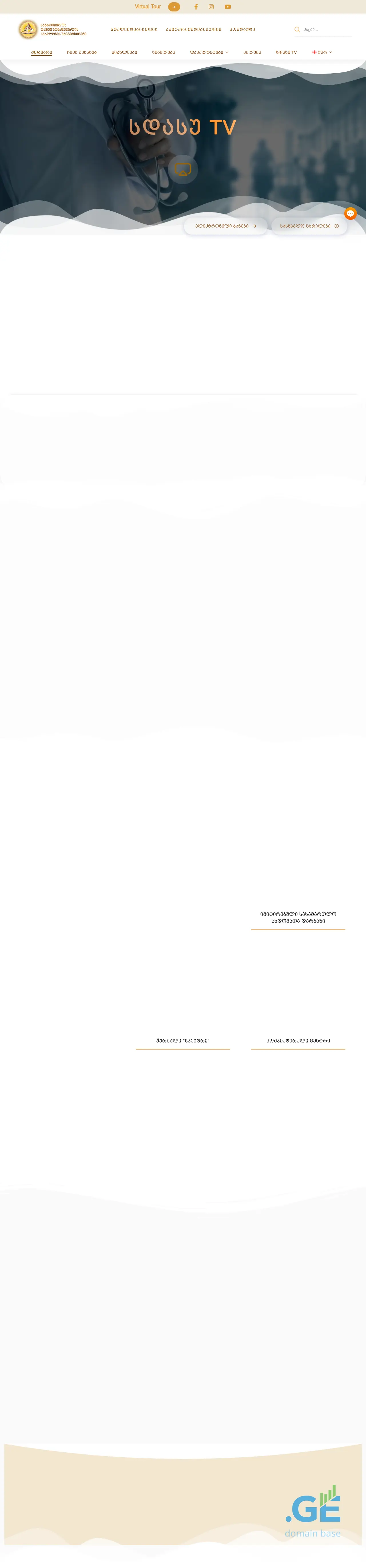 Screenshot of the site sdasu.edu.ge