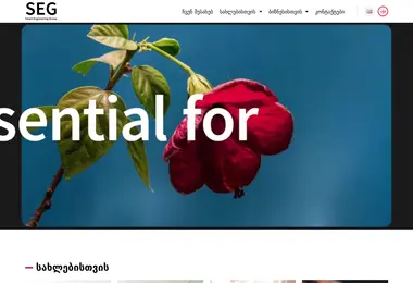 Screenshot of seg.ge