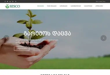 Скриншот sesco.ge