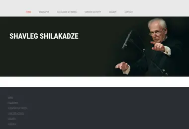 Screenshot of shavleg-shilakadze.ge