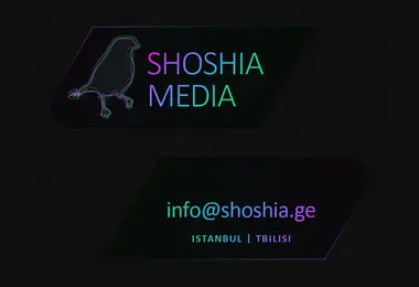 Скриншот shoshia.ge