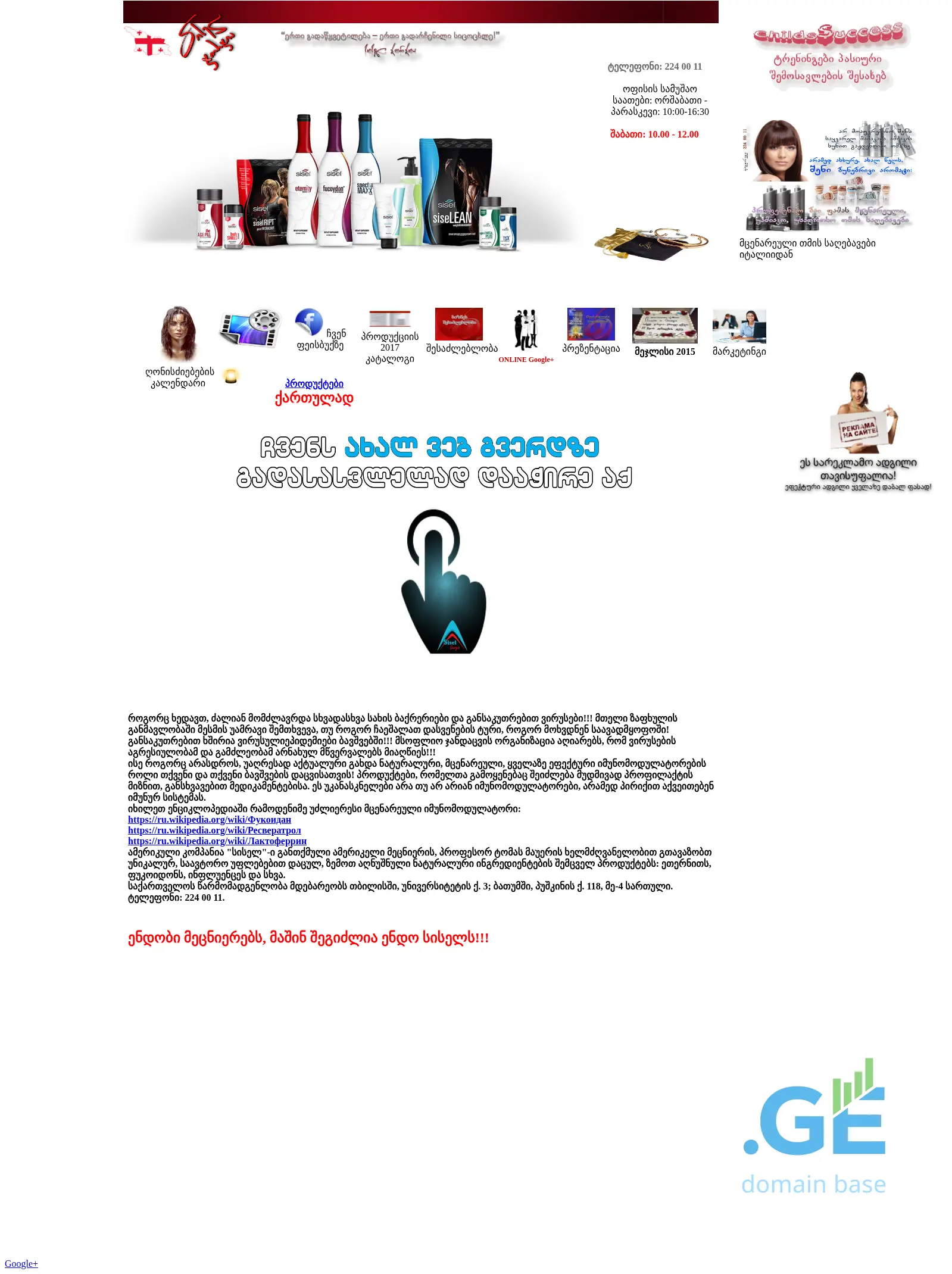Screenshot of the site sisel.com.ge