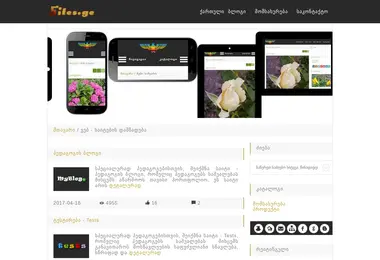 Screenshot of sites.ge