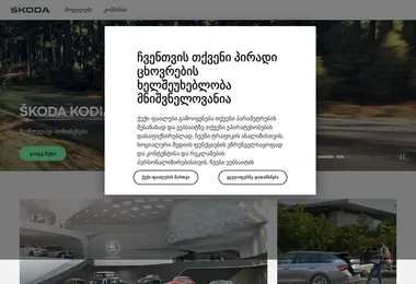 Screenshot of skoda.ge