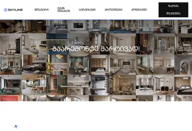 Screenshot of skyline.ge