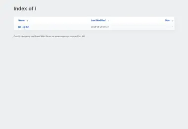 Screenshot of spharmageorgia.com.ge