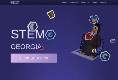 Screenshot of stemgeorgia.ge