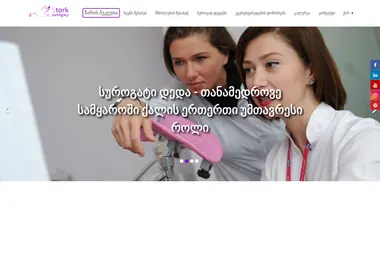 Screenshot of stork-service.ge