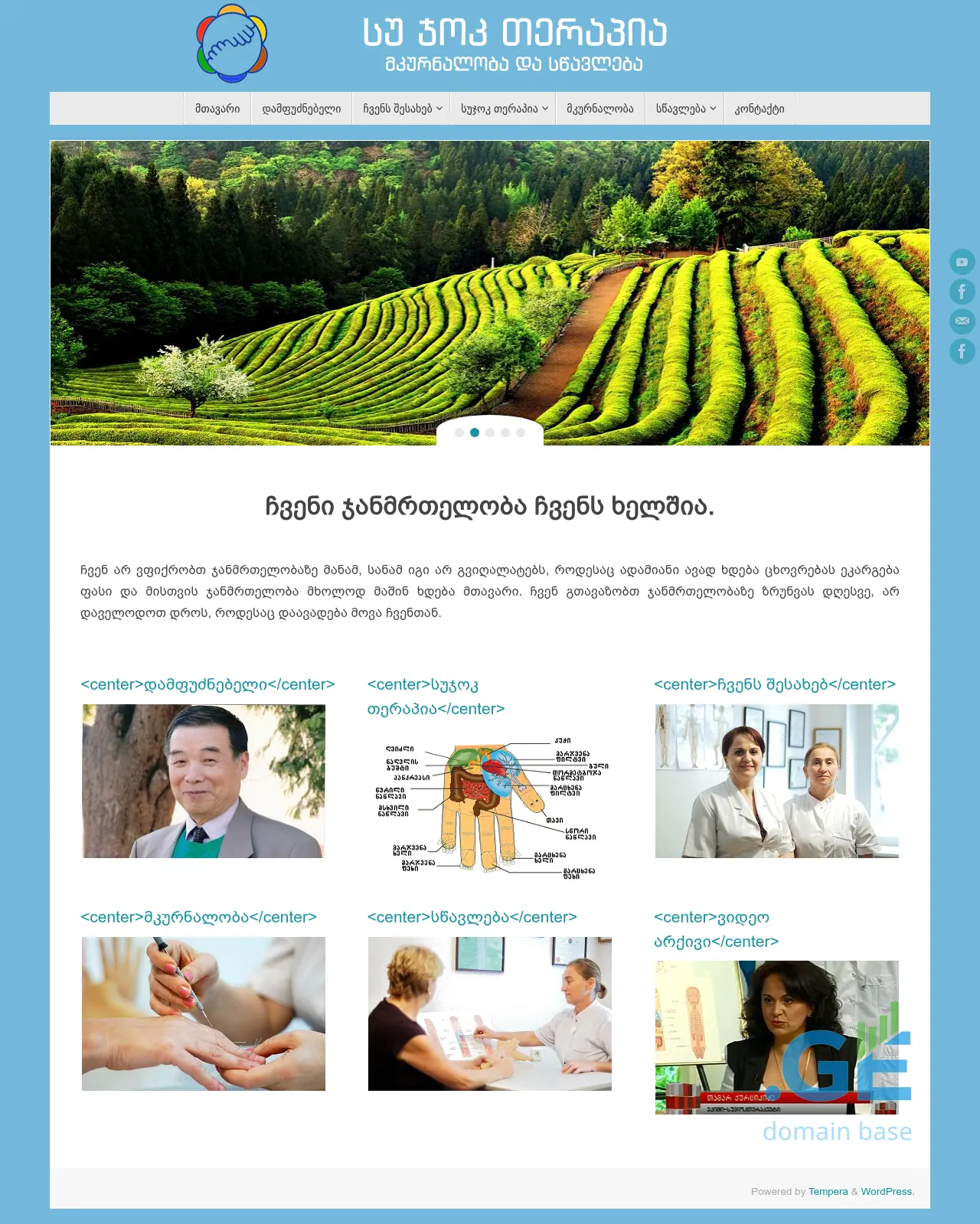 Screenshot of the site sujoktherapy.ge