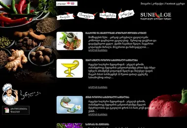 Screenshot of suneli.ge