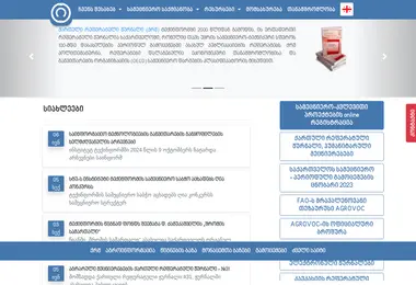 Screenshot of techinformi.ge