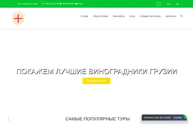 Screenshot of tieg-travel.ge