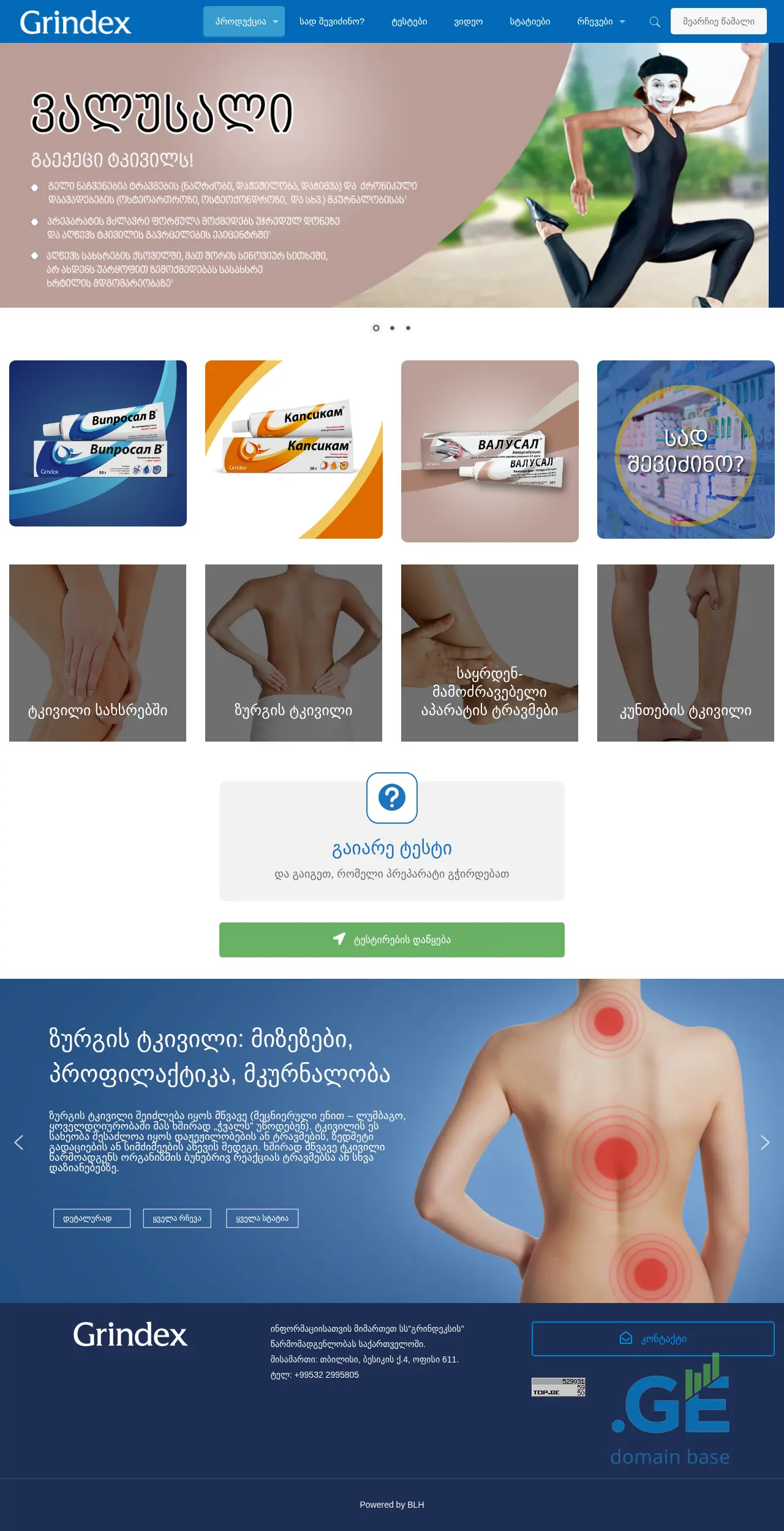 Screenshot of the site tkivilsara.ge