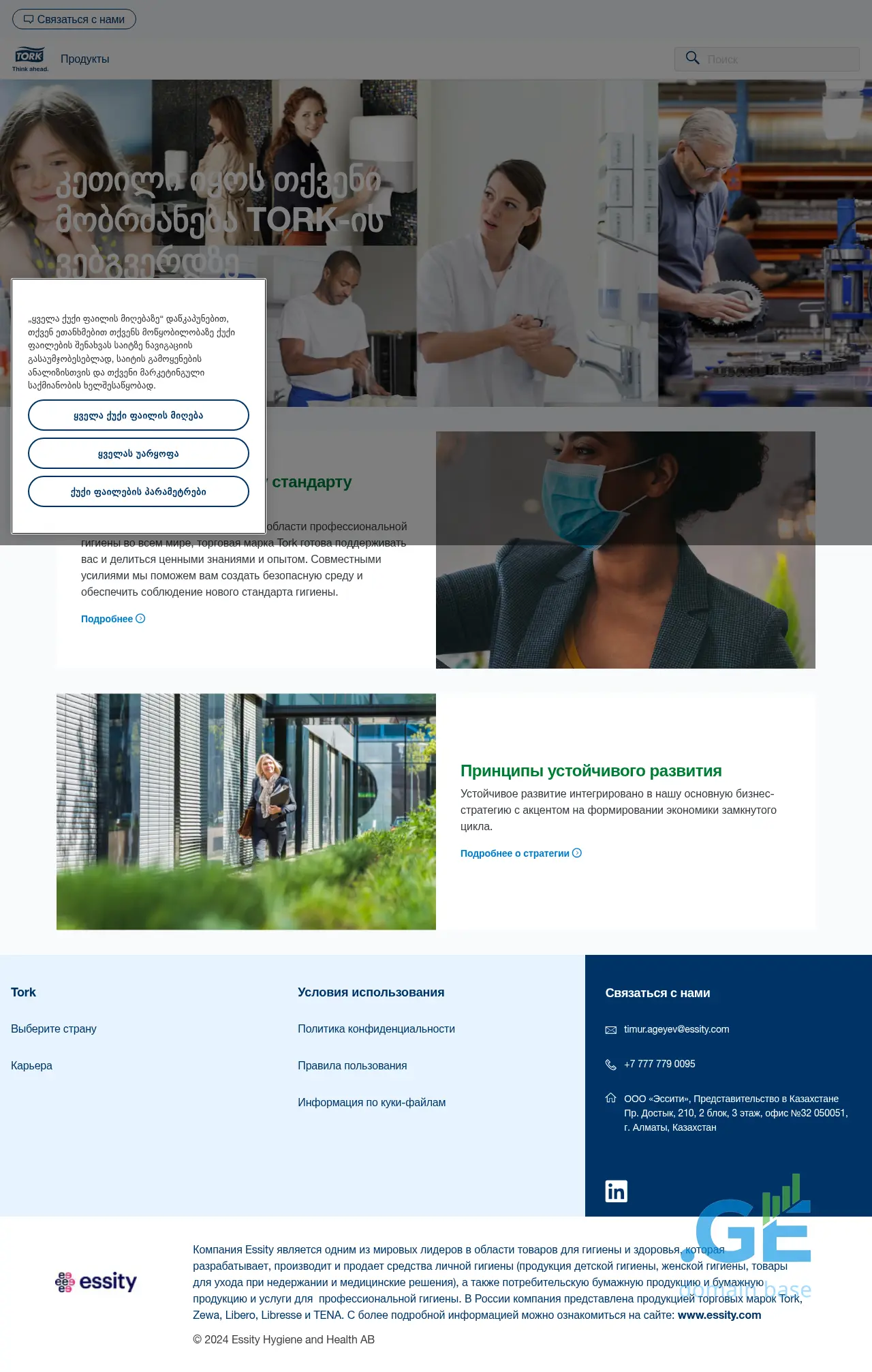 Screenshot of the site tork.ge