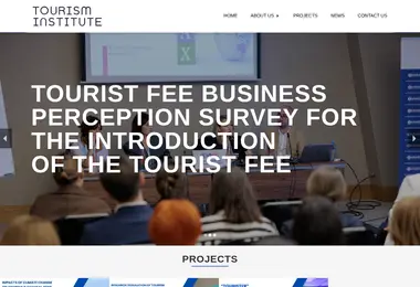 Screenshot of tourisminstitute.ge