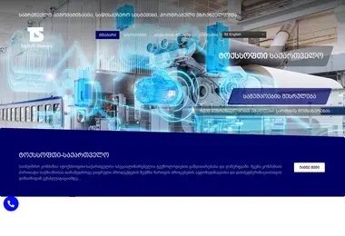 Скриншот toxsoft.ge