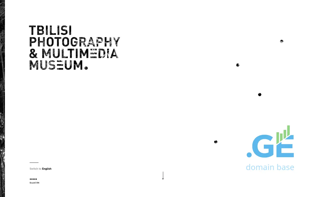 Screenshot of the site tpmm.ge