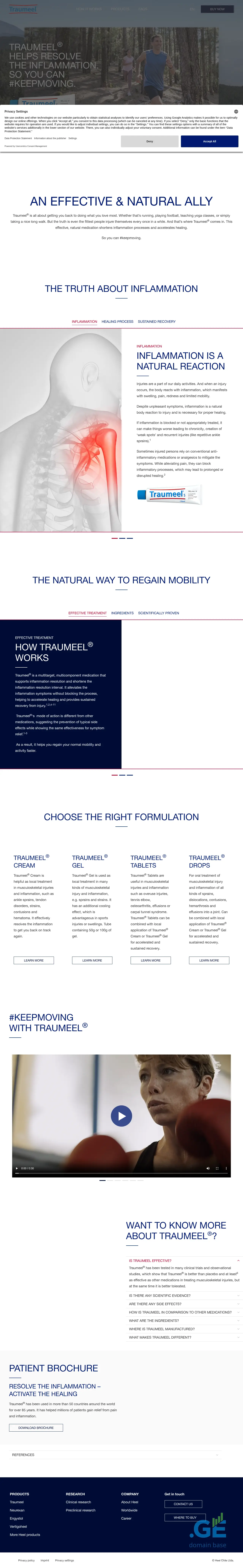 Screenshot of the site traumeel.ge