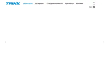 Скриншот trinx.ge