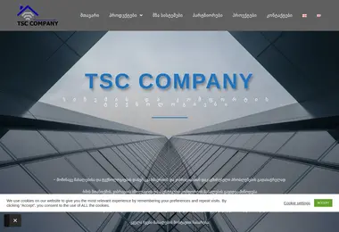 Screenshot of tsc.com.ge
