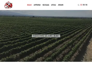 Screenshot of tsinandali21.ge