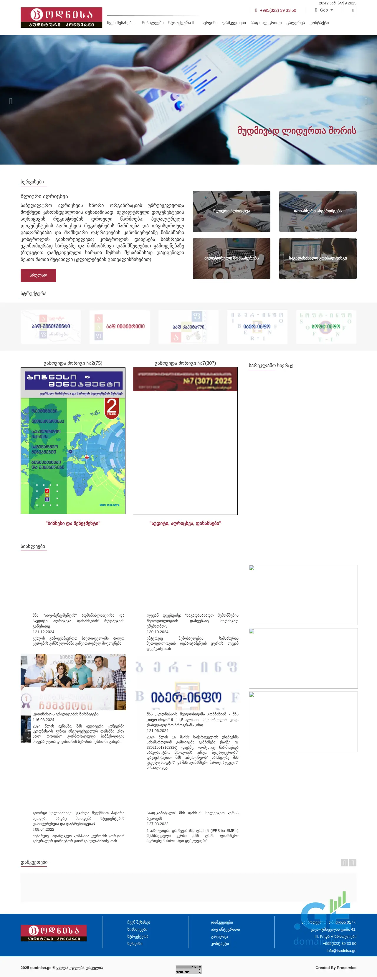 Screenshot of the site tsodnisa.ge