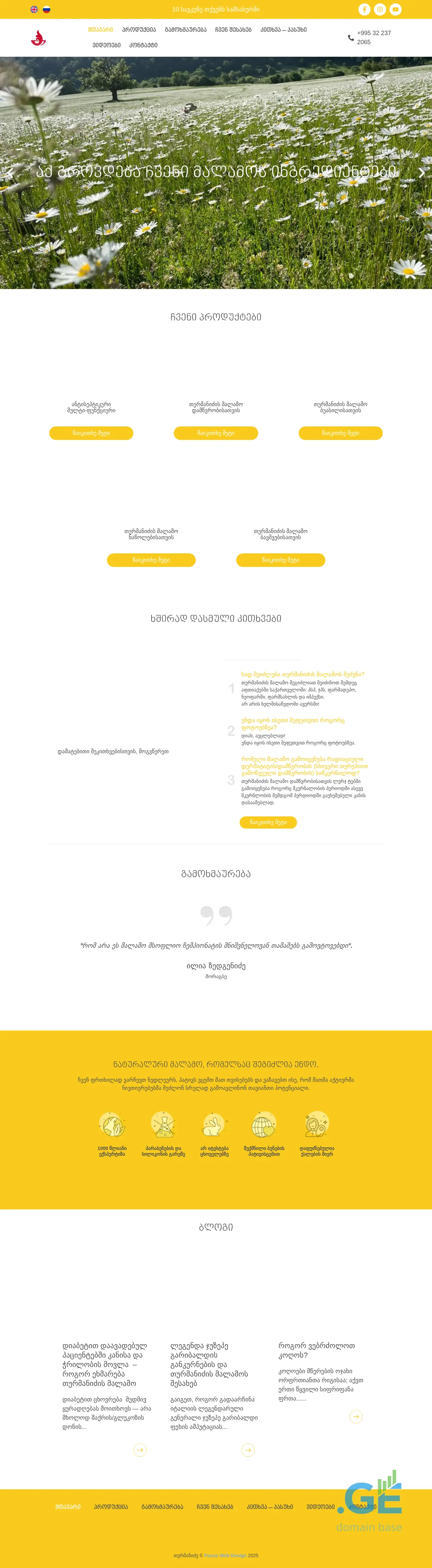 Screenshot of the site turmanidze.ge
