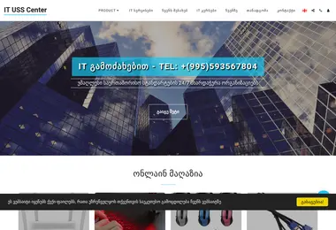 Screenshot of usscenter.ge