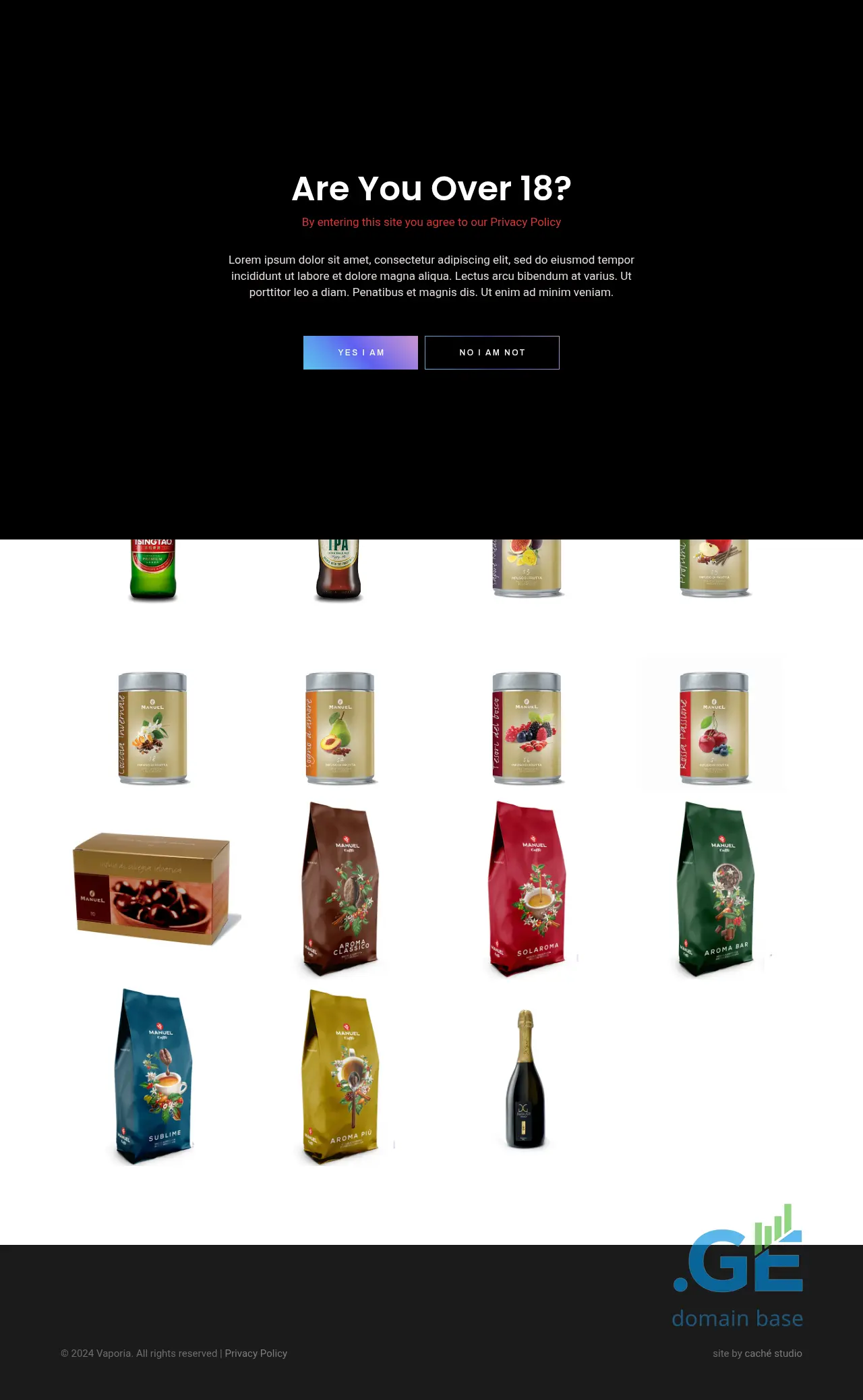 Screenshot of the site vaporia.ge