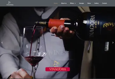 Screenshot of vinagora.ge