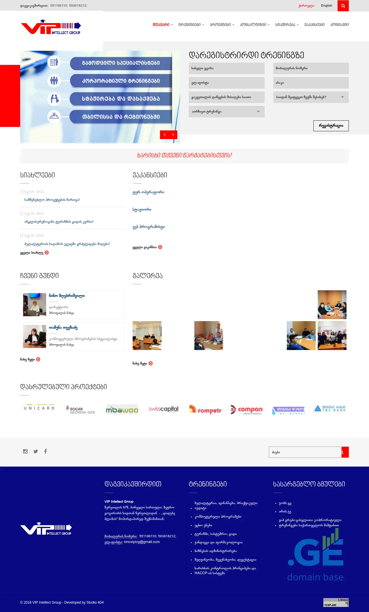 Screenshot of the site vipintellect.ge