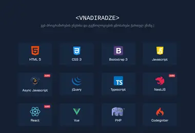Screenshot of vnadiradze.ge