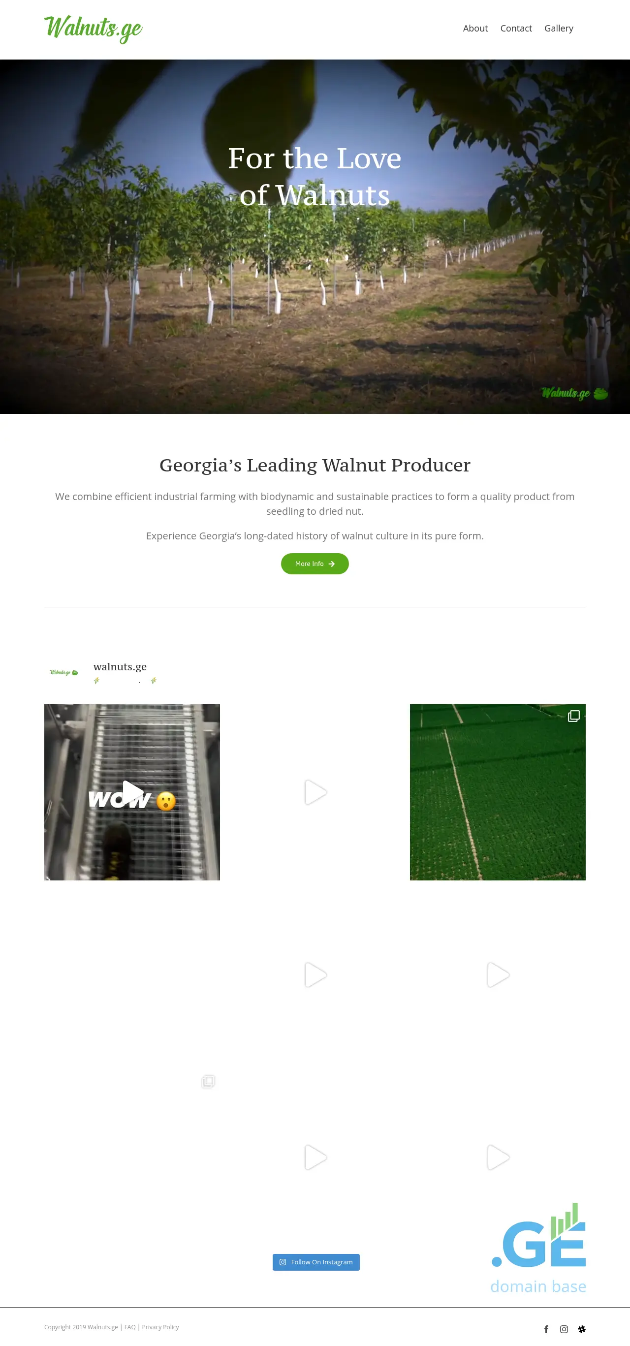 Screenshot of the site walnuts.ge