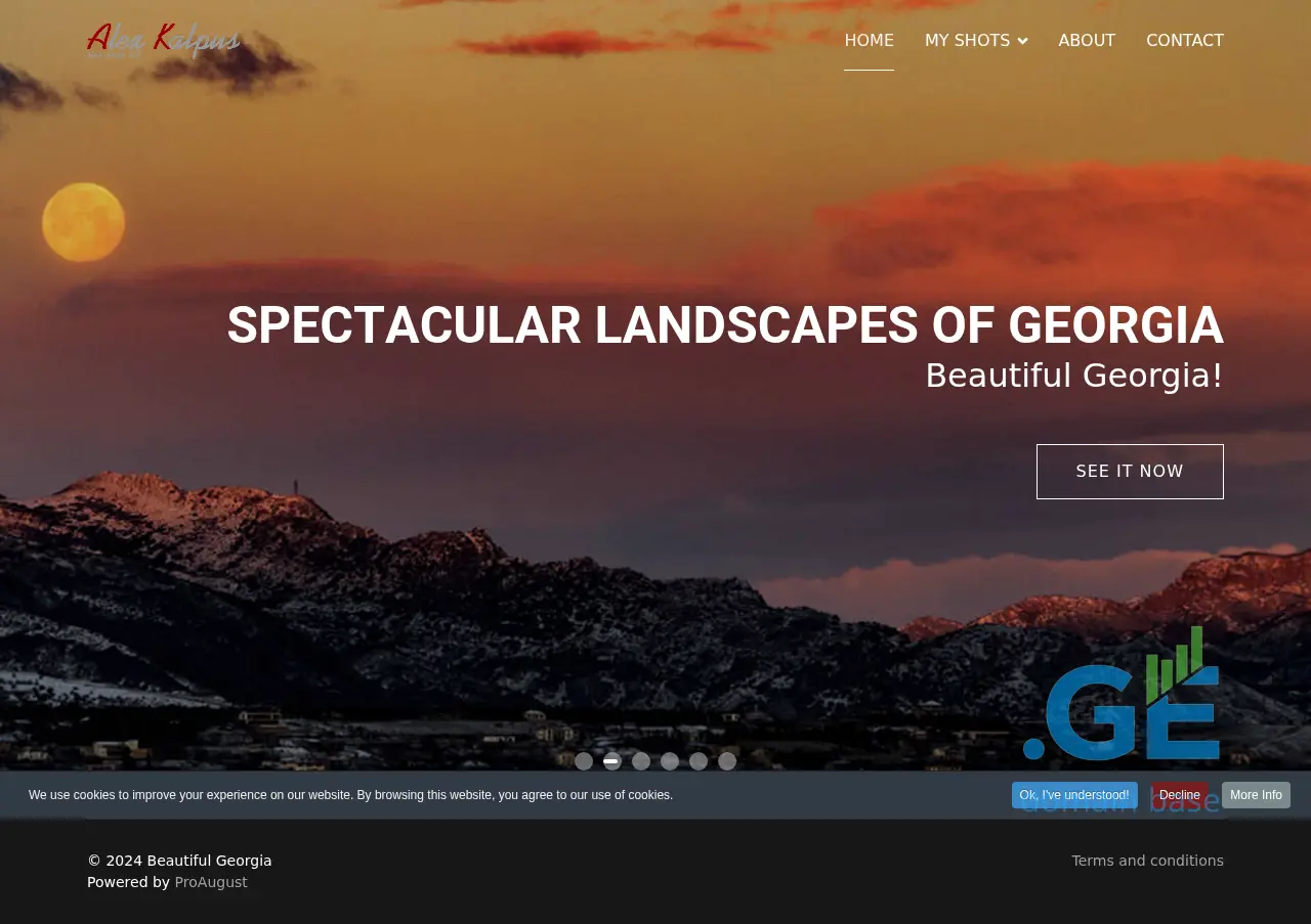 Screenshot of the site wesaw.ge