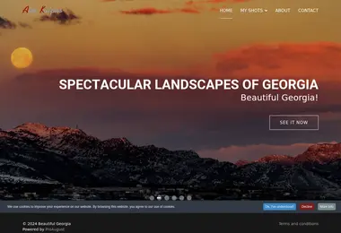 Screenshot of wesaw.ge