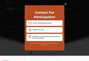 Screenshot of winexpo.ge