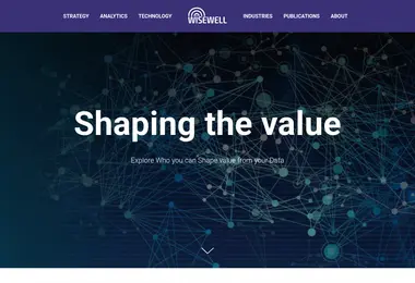 Screenshot of wisewell.ge