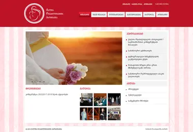 Screenshot of wra.org.ge