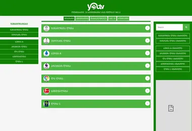Screenshot of youtv.ge