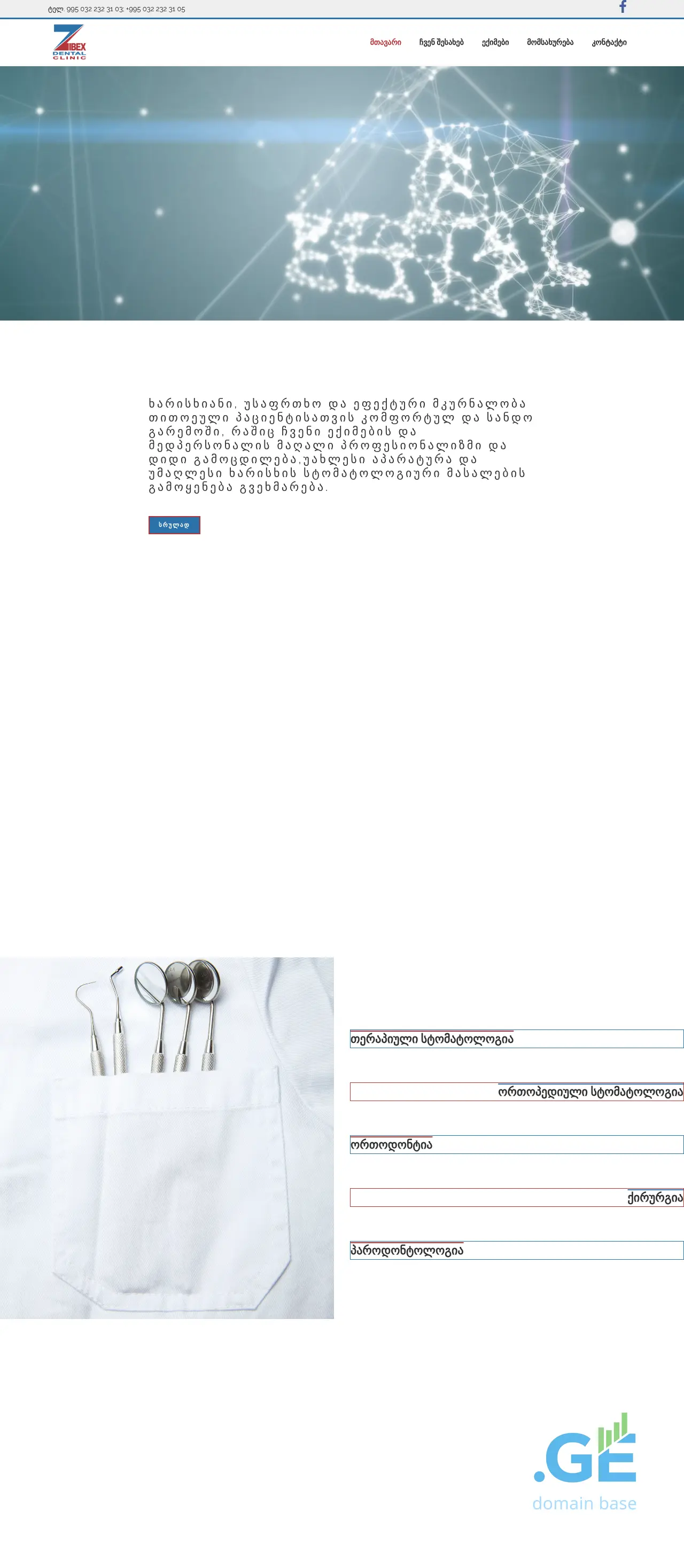 Screenshot of the site zibex.ge